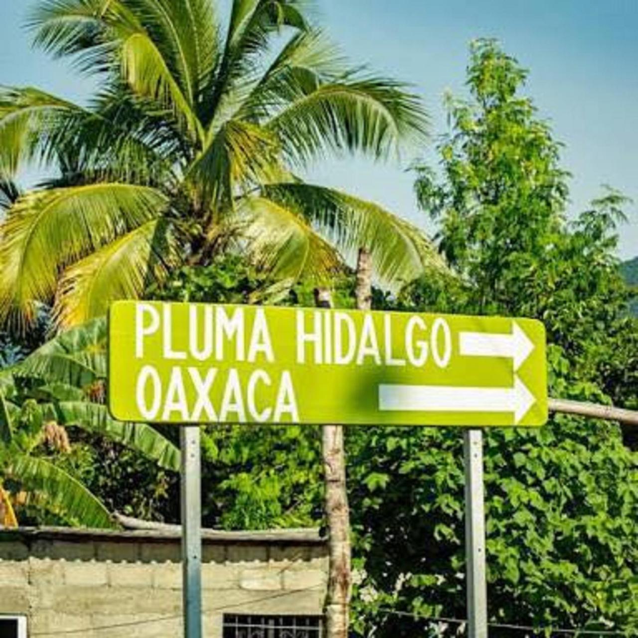 Glamping Finca Margaritas Pluma Hidalgo Exterior foto